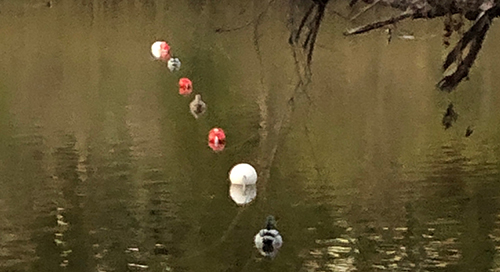 discovery-lake-pilot-500px