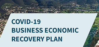 recovery-plan-339x163