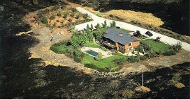 Maintain your landscape