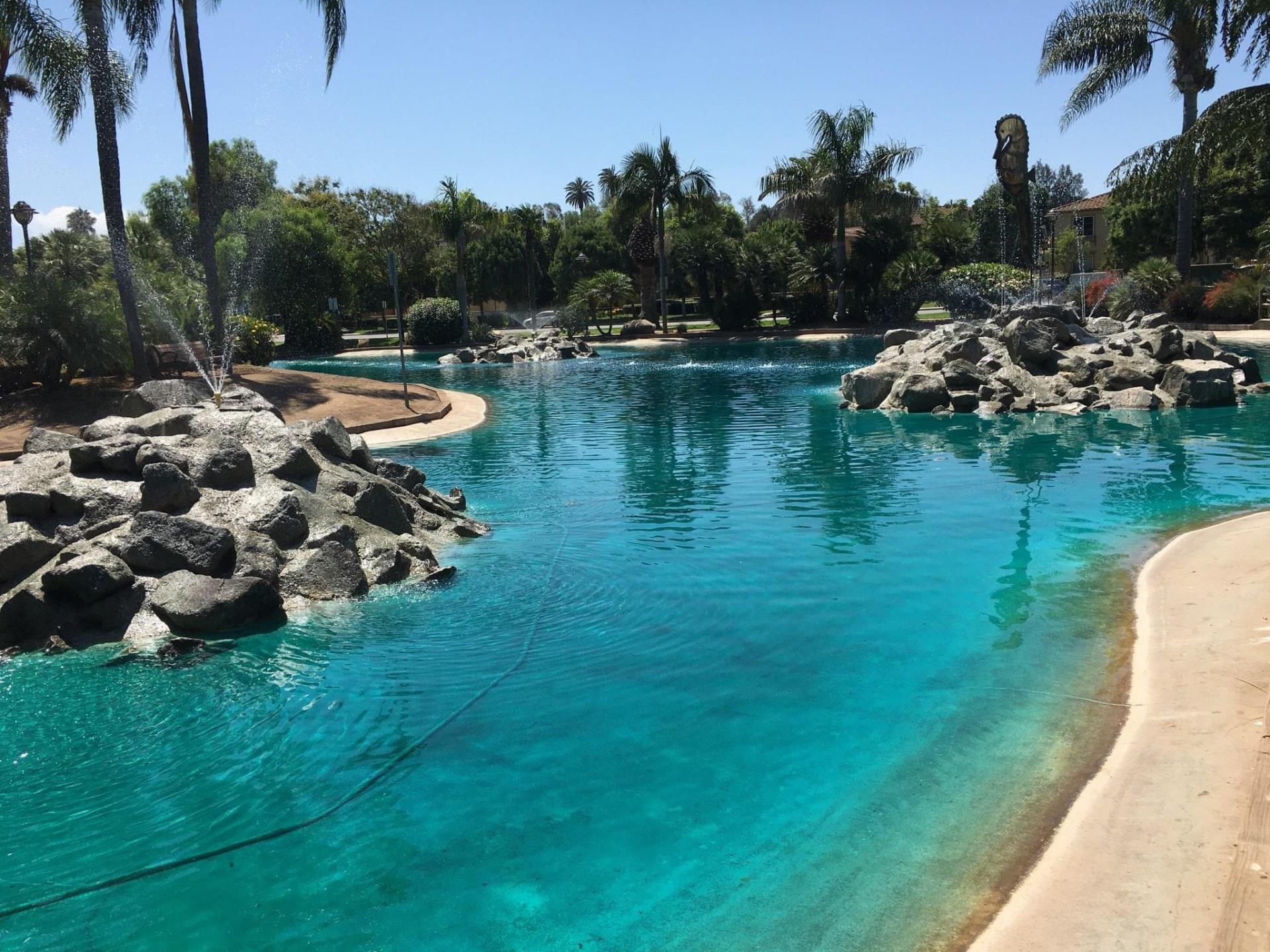 Woodland Pond fresh after cleaning