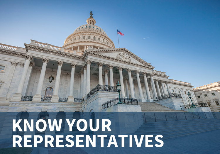 Your Representatives
