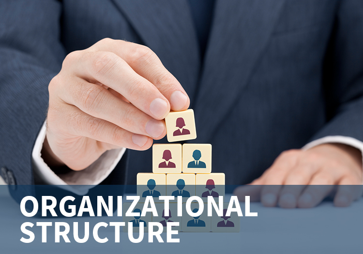 Organizational Struture