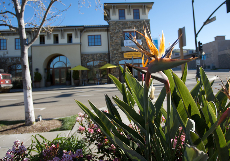 Business Friendly Environment