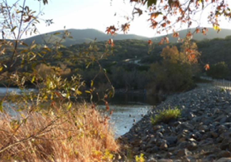 Environmental Awareness