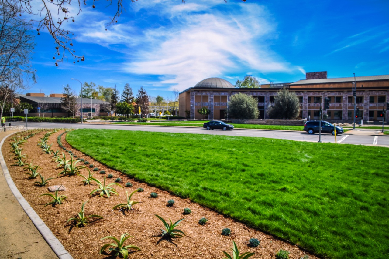 Center medians along San Marcos Boulevard near the city's Civic Center receive water wise makeover