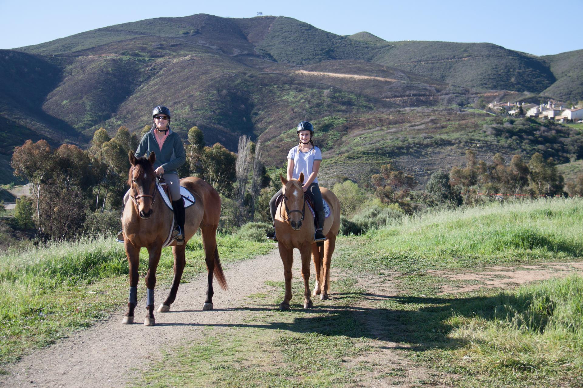Equestrian Riders, Mounted
